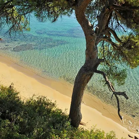 Luxury Skiathos Villa *