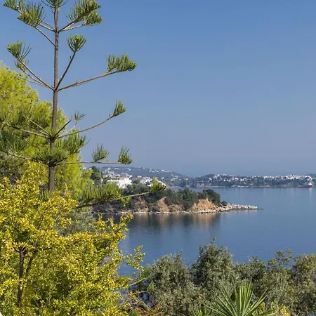Luxury Skiathos Villa